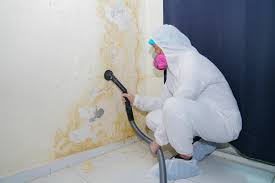 Mold Removal for HVAC Installations in South Whittier, CA